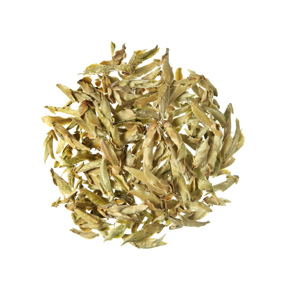 White Tea Ya Bao Silver Buds White Tea China - 100 g