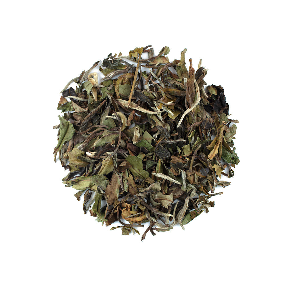 Fehér tea Pai Mu Tan - 100 g